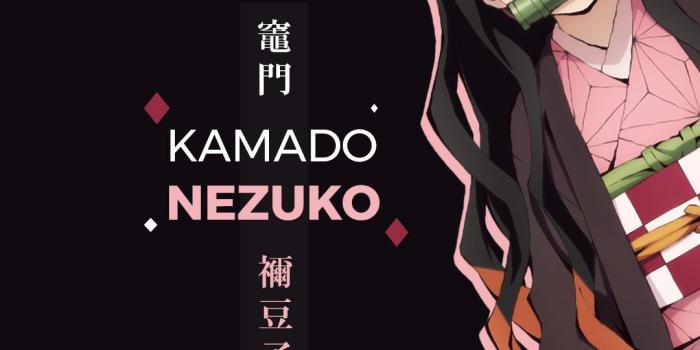 1080x2160 19 Kamado Nezuko iPhone Wallpapers - WallpaperBoat