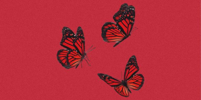 1947x3464 Cute Red Butterfly Wallpapers - Top Free Cute Red Butterfly Backgrounds -  WallpaperAccess