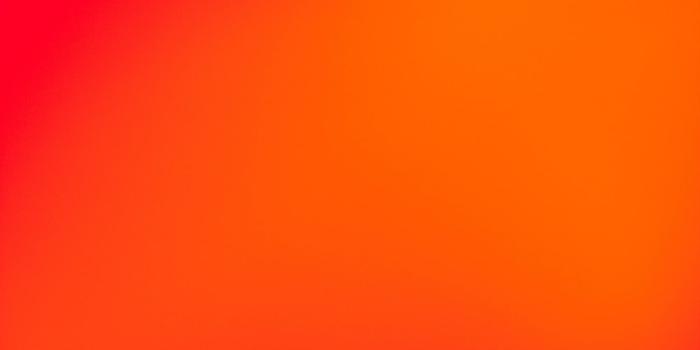 1000x1500 Red Wallpapers: Free HD Download [500+ HQ] | Unsplash