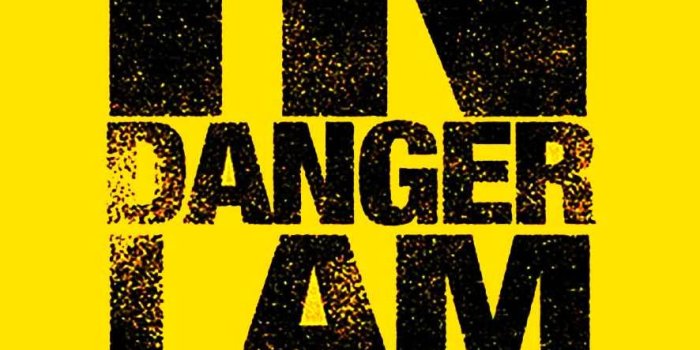 886x1920 Im Not In Danger Wallpaper - Breaking Bad Wallpapers For Android - 886x1920  - Download HD Wallpaper - WallpaperTip
