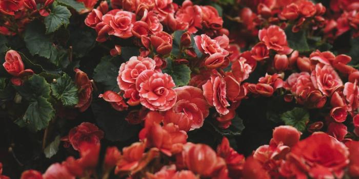 1000x1438 Red Wallpapers: Free HD Download [500+ HQ] | Unsplash