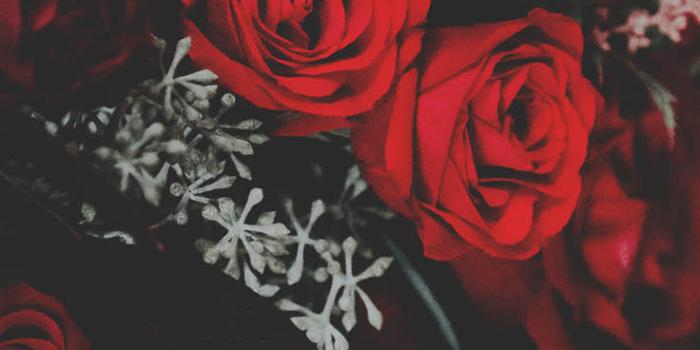 736x1308 10 Pretty Red Wallpapers For Your Red iPhone XR | Preppy Wallpapers