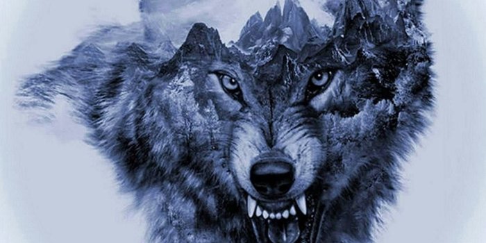 1420x1262 Wolf Danger Wallpapers - Wolf-Wallpapers.pro