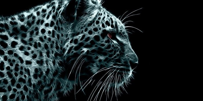 1400x1050 Danger Leopard Desktop Wide Wallpapers Desktop Background