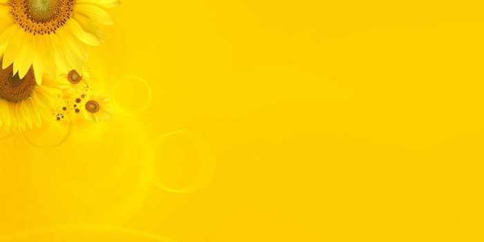 1920x1080 Yellow Aesthetic Wallpaper Desktop - 2021 Wallpaper Aesthetic