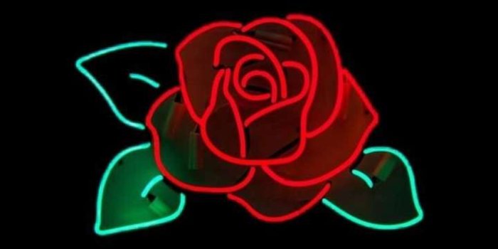 720x1280 Wallpaper Roses Black