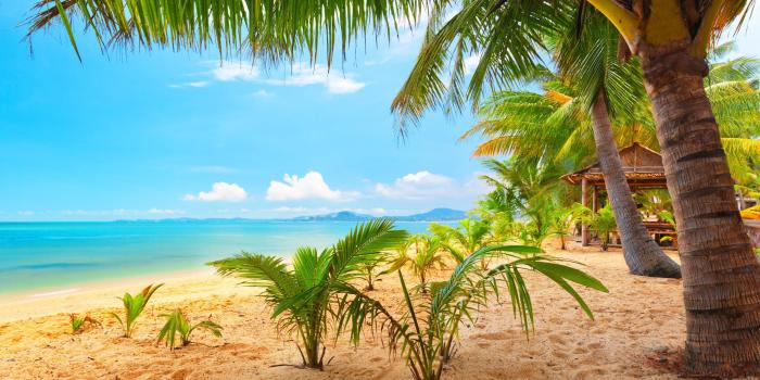 4096x2160 4K Ultra HD Summer (Page 3) - Line.17QQ.com