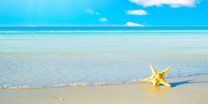 1728x1080 Summer Wallpapers, 4k, Beach, Sky, Star Fish, Summer, Wallpaper, Nature,  #306