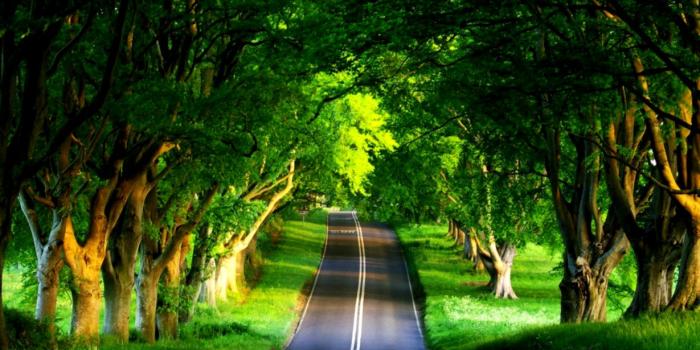 1229x721 Road Summer ❤ 4k Hd Desktop Wallpaper For 4k Ultra - Hd Wallpapers For  Laptop 1920x1080 Free Download - 1229x721 Wallpaper - teahub.io