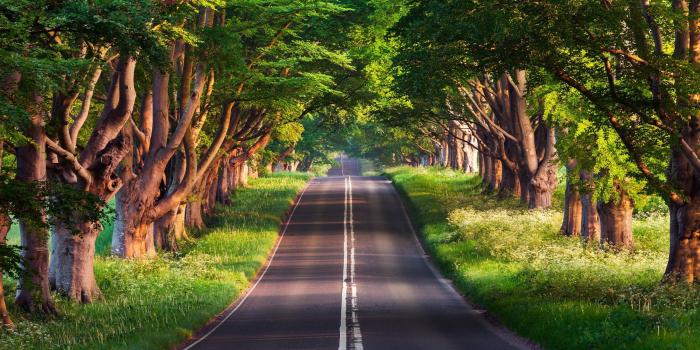 2304x1296 Wallpaper road, trees, summer, 4k, Nature Wallpaper Download - High  Resolution 4K Wallpaper