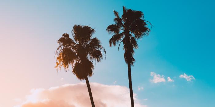 4634x3091 Summer Wallpapers