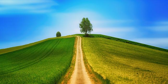 2732x2732 Landscape 4K Wallpaper, Green, Path, Countryside, Daytime, Summer, 5K,  Nature, #537