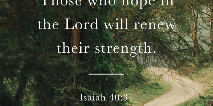 1080x1920 Beautiful Scenic Bible Verse Wallpapers for your Phone