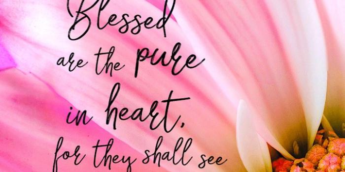 720x1280 Pink Scripture Wallpaper - Over 500 FREE Downloads - Bible Verses To Go