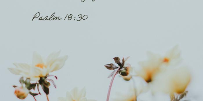 1080x1920 Free Bible Verse Phone Wallpapers - AOP Homeschooling
