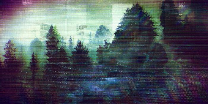 1332x850 Wallpaper forest, Sad, glitch, glitch images for desktop, section стиль -  download