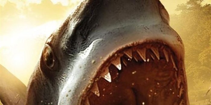 750x1334 Best Shark iPhone 8 HD Wallpapers - iLikeWallpaper