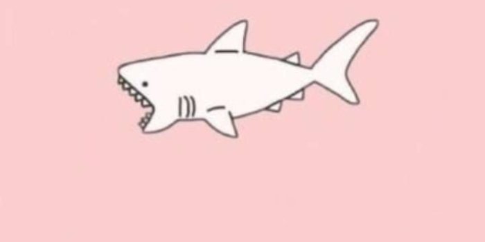 720x1280 Cute Shark Wallpapers - 4k, HD Cute Shark Backgrounds on WallpaperBat