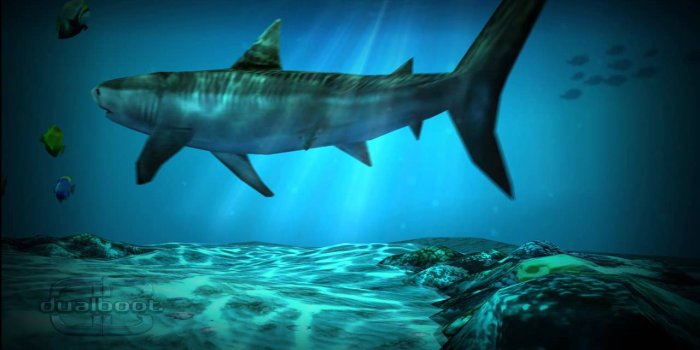 1280x720 Shark Pack' For Ocean HD Live Wallpaper