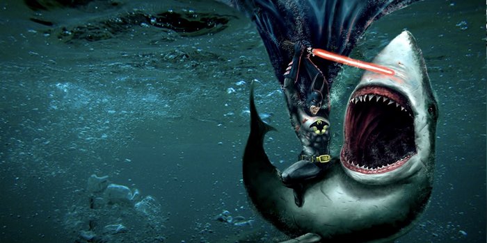 1920x1080 Shark Wallpapers HD Desktop Background