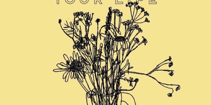 847x1502 Harry Styles Lyrics Wallpapers