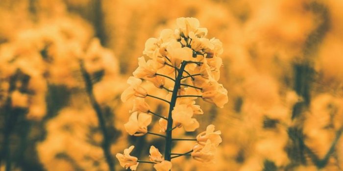 736x1308 Wallpaper Aesthetic Wallpaper One Direction Lyrics Laptop - Novocom.top