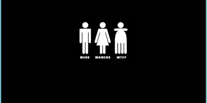 1241x993 The Modern Rules Of Funny Wallpapers For Phones | Funny Wallpapers For  Phones | Neat