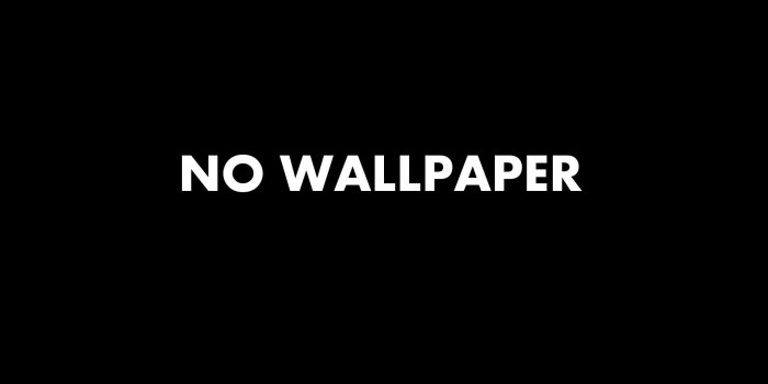 1920x1200 No Wallpapers