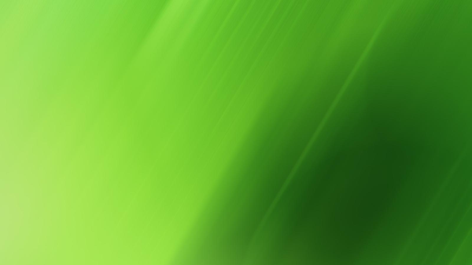 1920x1080 Light Green Background Wallpaper HD | 2021 Live Wallpaper HD