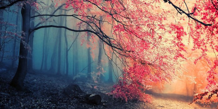 1920x1200 HD Wallpapers - Top Free HD Backgrounds - WallpaperAccess