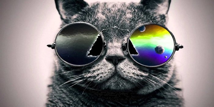 1920x1080 Top Wallpapers (66+ background pictures)