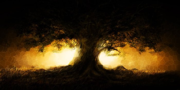 1599x1010 50+] World's Best Wallpaper Ever on WallpaperSafari