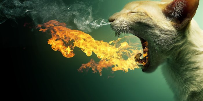 2560x1600 PC Wallpapers - Top Free PC Backgrounds - WallpaperAccess