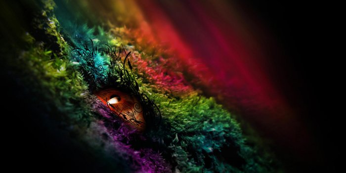 1920x1080 45 HD Beautiful Wallpapers/Backgrounds For Free Download