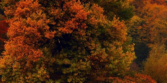 960x1600 Top Wallpapers for Android Mobile