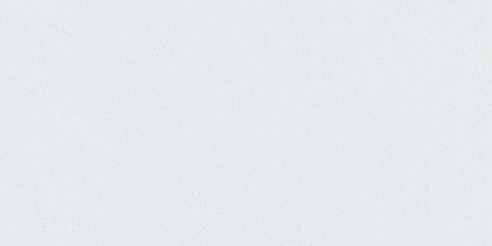 1400x2489 White plant branch on a gray brick wall in natural light background mobile  w… | Pastel background wallpapers, White wallpaper for iphone, White  background wallpaper