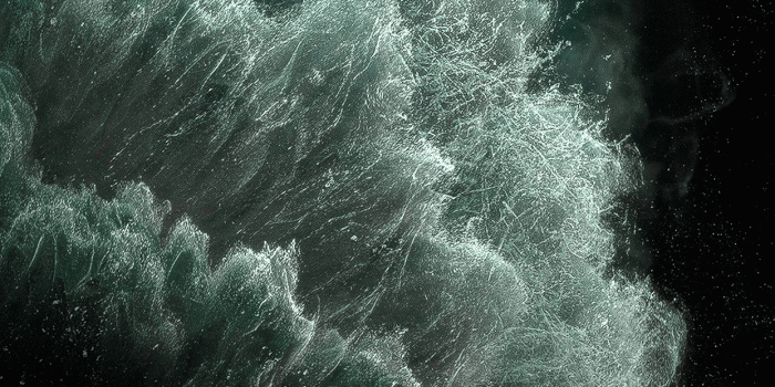 1242x2688 iPhone 11 Pro Max Official 4k Wallpapers