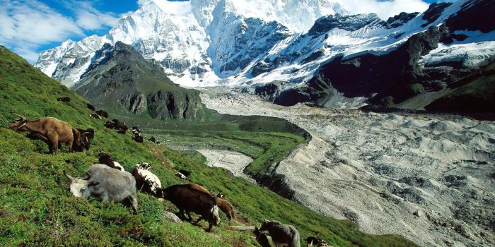 1920x1200 Free download Tibet Wallpapers [1920x1200] for your Desktop, Mobile &  Tablet | Explore 75+ Tibetan Wallpaper | Tibetan Backgrounds, Tibetan  Wallpaper, Tibetan Buddhist Wallpaper