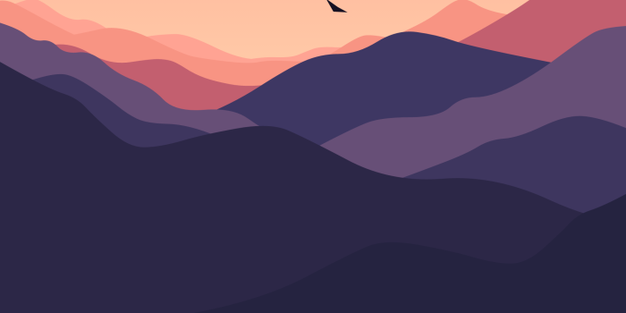 2000x4000 50+ Best Wallpapers for iPhone 11 Pro & iPhone 11 Pro Max [4K] | Best iphone  wallpapers, Iphone wallpaper, Phone wallpaper images