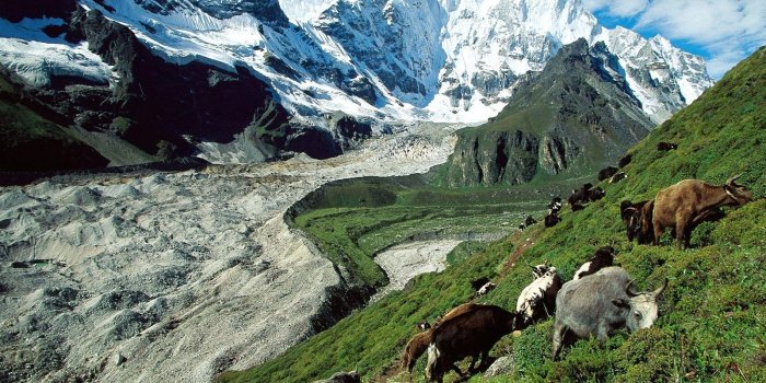 1600x1200 Mountains, pasture, Tibet - Full HD Wallpapers: 1600x1200