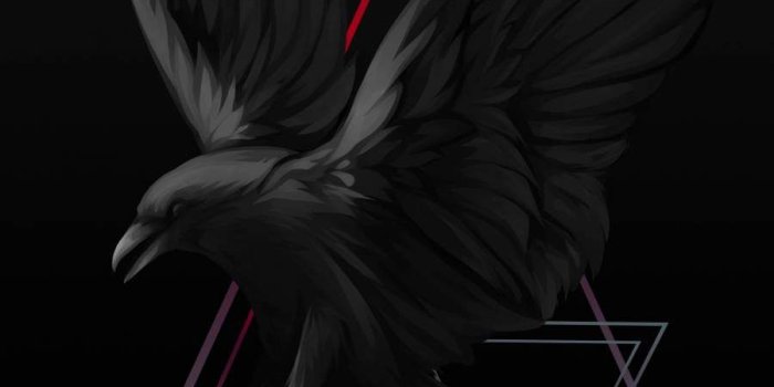 900x1600 Raven iPhone Wallpapers - Top Free Raven iPhone Backgrounds -  WallpaperAccess