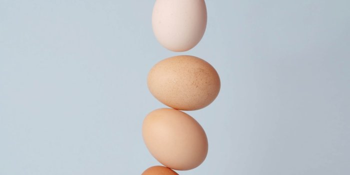 1000x1499 Best 20+ Egg Pictures & Images | Download Free Photos on Unsplash