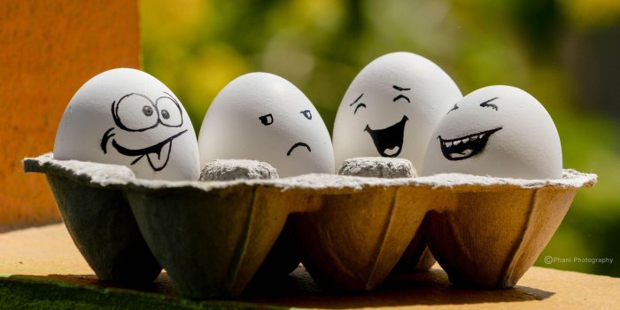 3840x2160 Eggs Wallpapers