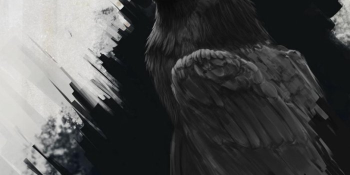938x1668 Dark Raven Wallpaper Iphone