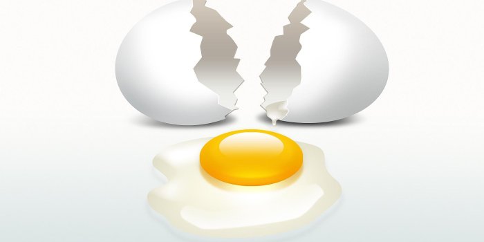 1920x1080 Egg Wallpapers