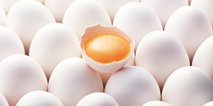 3840x2160 Best 45+ Egg Wallpaper on HipWallpaper | Easter Egg Wallpaper, Ender Dragon Egg  Wallpaper and Egg Wallpaper