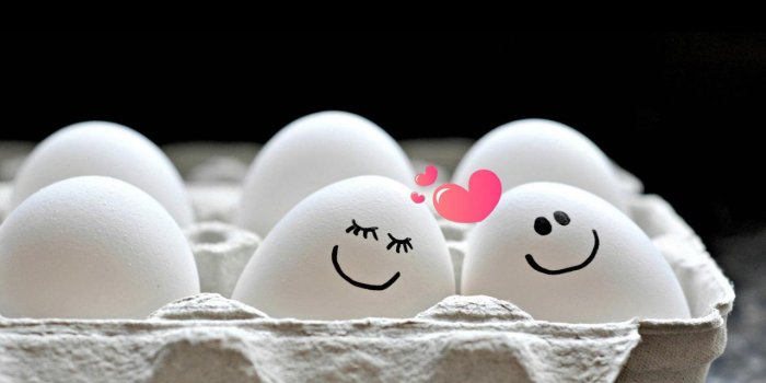 1280x720 Egg Wallpapers