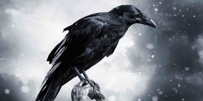 1920x1080 22Raven Wallpapers - Wallpaperboat