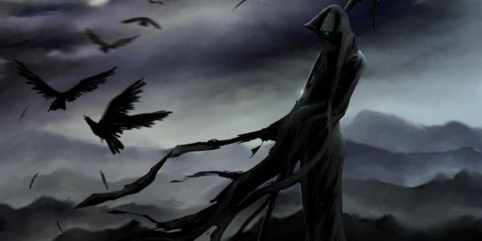 1920x1080 Wallpaper's Collection: «Raven Wallpapers»