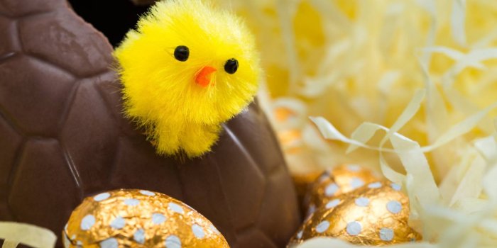 1440x1280 Egg wallpaper by _ibadat_ - a8 - Free on ZEDGE™